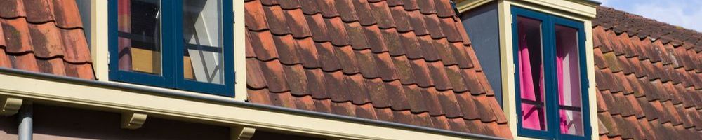 Dakrenovatie Hedel